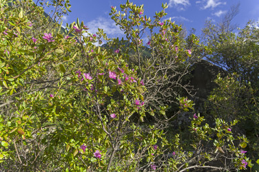 Similar image 21895448