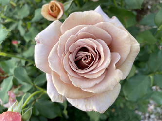 Similar image 21895272