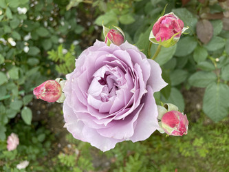 Similar image 21895273