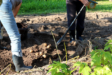 Similar image 21899598