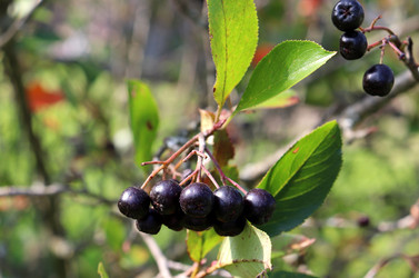 Similar image 21899599