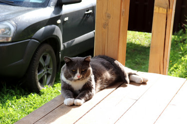 Similar image 21899600