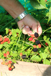 Similar image 21899601