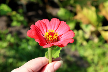 Similar image 21899603