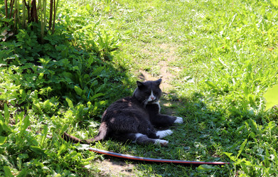 Similar image 21899604