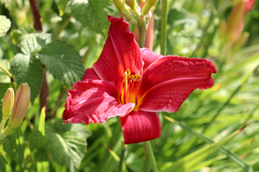 Similar image 21899606