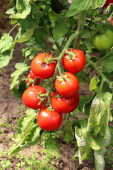 Similar image 21899607