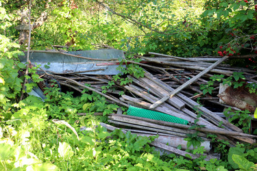 Similar image 21899608