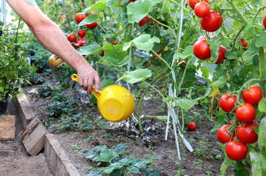 Similar image 21899766