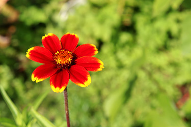 Similar image 21899767