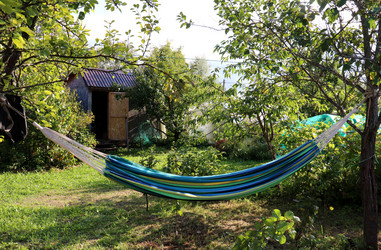 Similar image 21899768