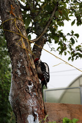 Similar image 21899771