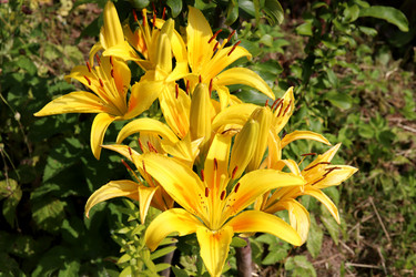 Similar image 21899773