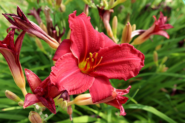 Similar image 21899774