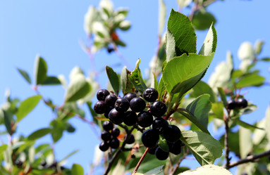 Similar image 21899775