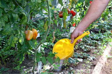 Similar image 21899777