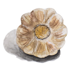 Similar image 21895843