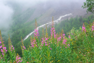 Similar image 21896726