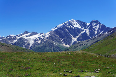 Similar image 21896727