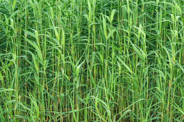 Similar image 21896746