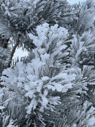 Similar image 21897566