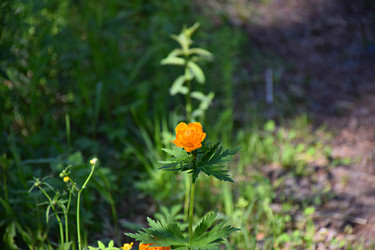 Similar image 21895637