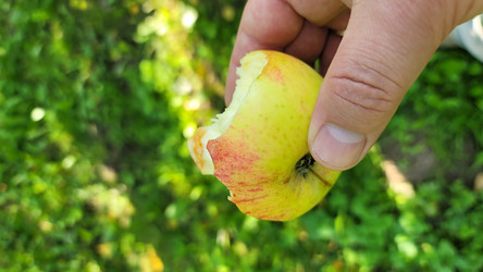 Similar image 21895917