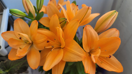 Similar image 21895918