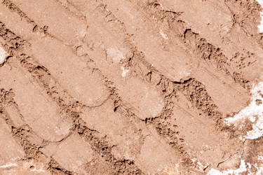 Similar image 21895282