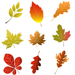 Similar image 21896444