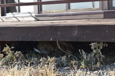 Similar image 21895376