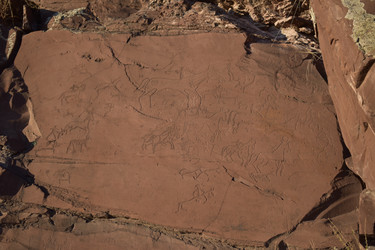 Similar image 21895388