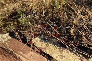 Similar image 21895390