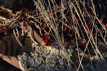 Similar image 21895452