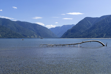 Similar image 21895458