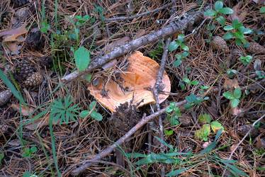 Similar image 21895638