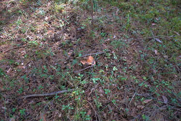 Similar image 21895639