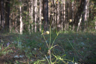 Similar image 21895641