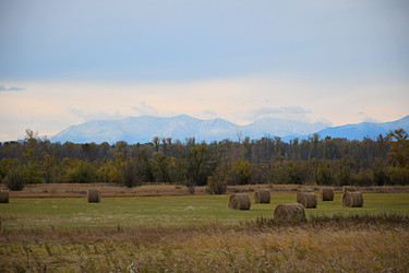 Similar image 21895642