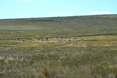 Similar image 21895644