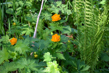 Similar image 21895463