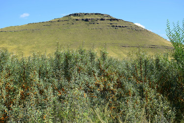 Similar image 21895464