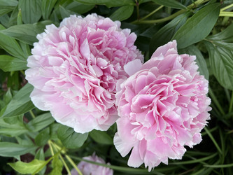 Similar image 21897568