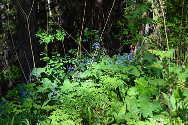 Similar image 21895465