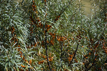 Similar image 21895466