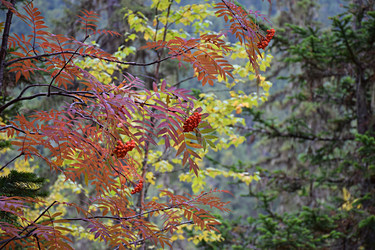 Similar image 21895647