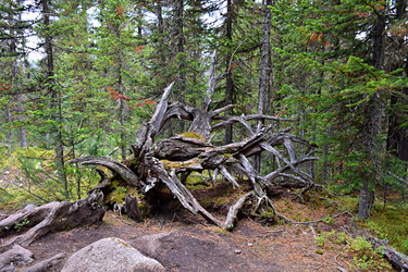 Similar image 21895648