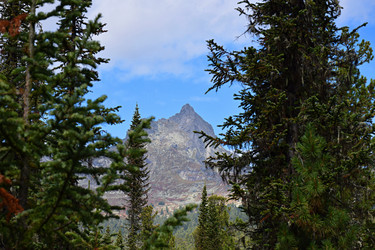 Similar image 21895655