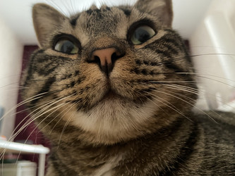 Similar image 21897569