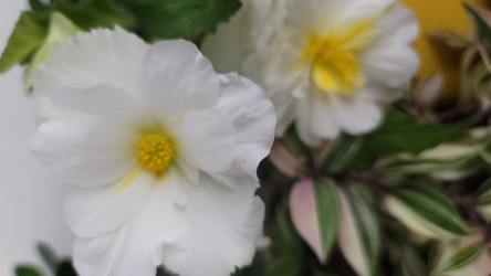 Similar image 21895925